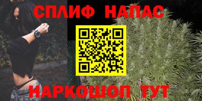 молекула духа Гусев